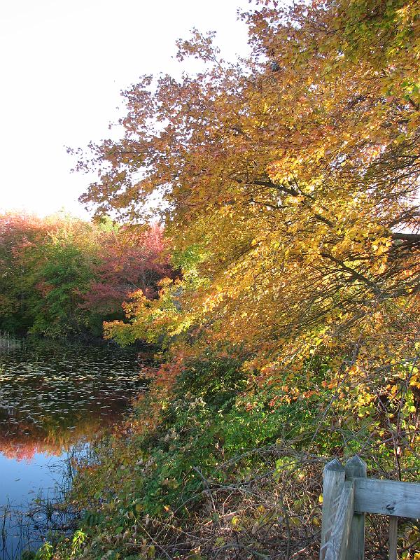2008-10-11_Tiverton_Trustom 102.jpg